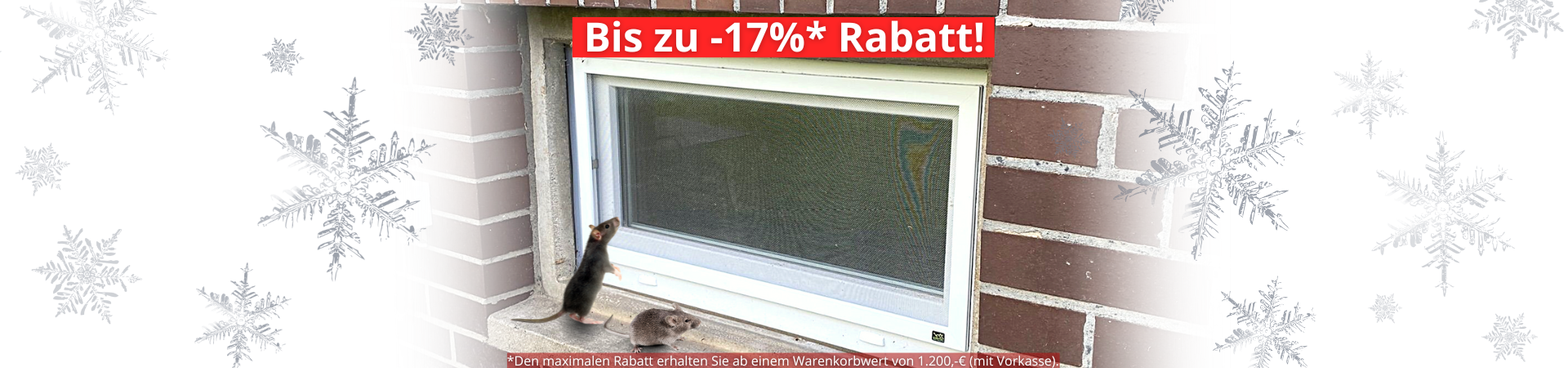 Nagerschutzgitter für Kellerfenster