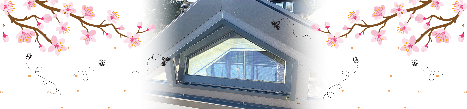 Insektenschutz mit Sonderform