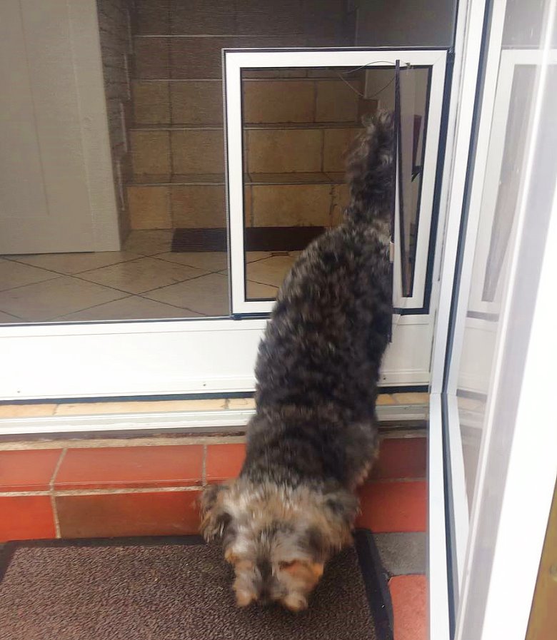 ..und Rudi hat's schon begriffen