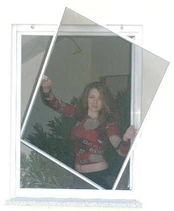 Pollenschutz für Fenster