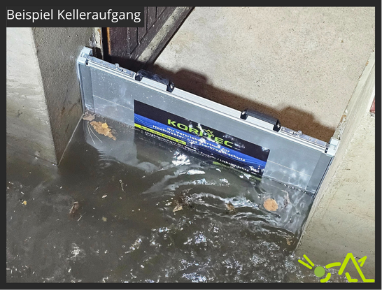 Fluschott im Kelleraufgang