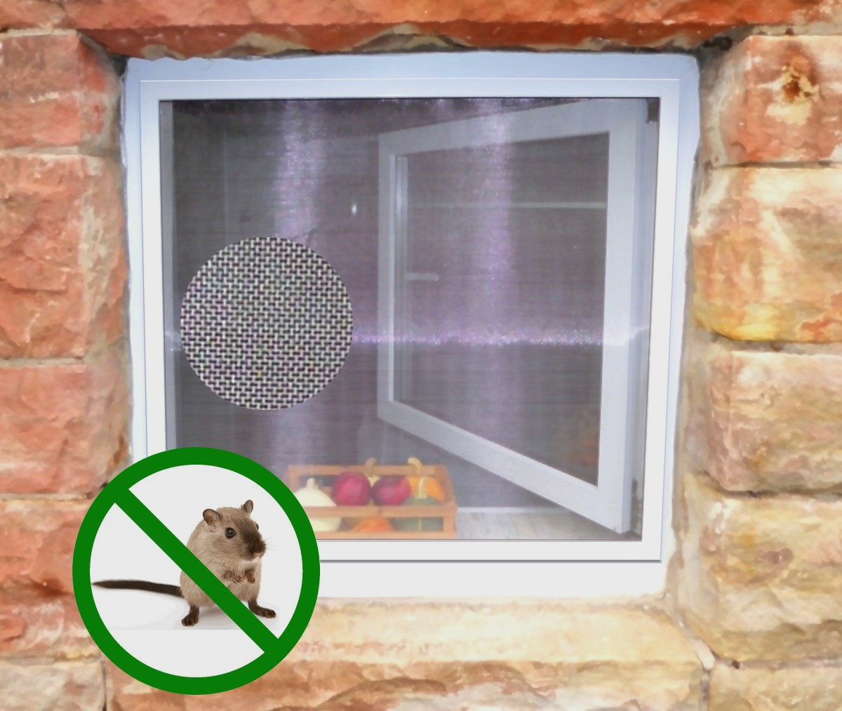 insektenschutz-f-r-kellerfenster-mit-nagersicherem-edelstahlgitter